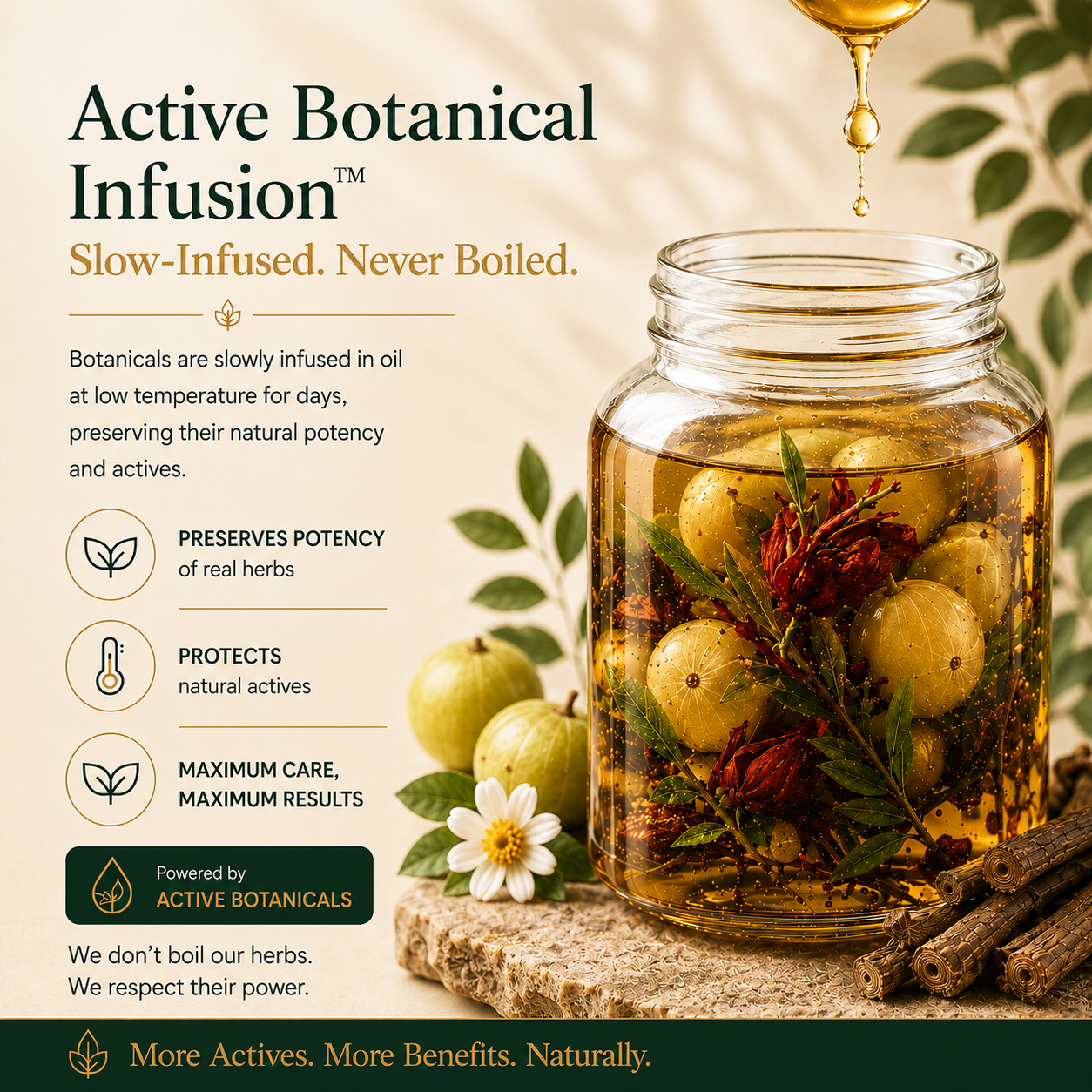 Reduce Hair Fall – Amla & Mulethi Herbal Hair Oil with Free Neem Comb